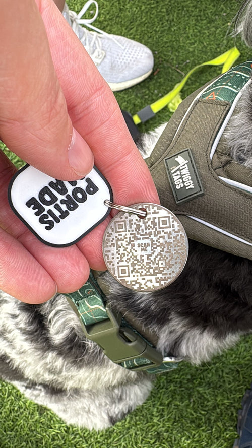 Custom Pet ID Tags
