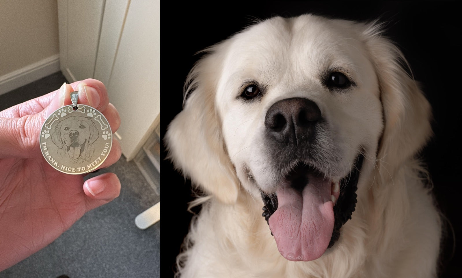 Custom Pet ID Tags