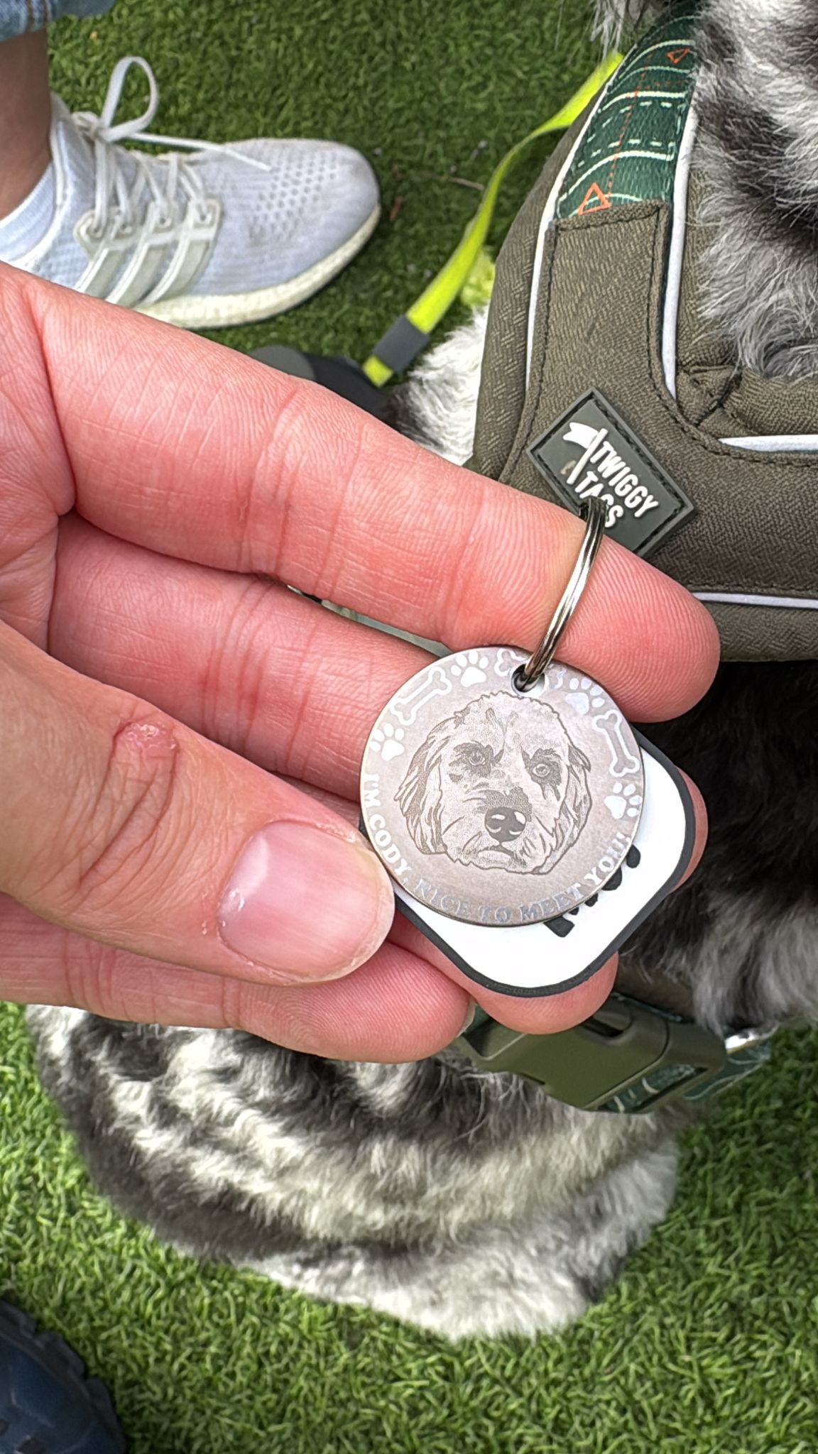 Custom Pet ID Tags