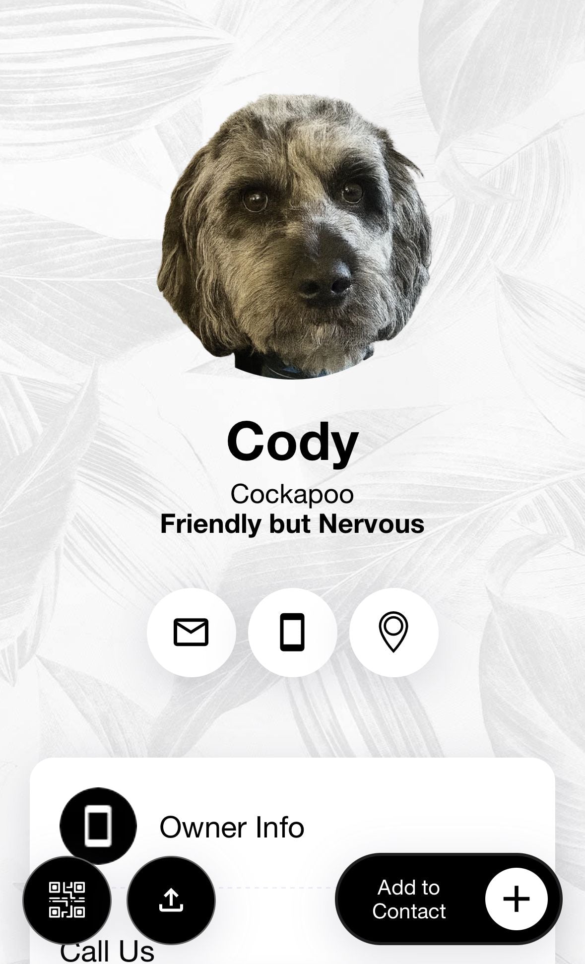 Custom Pet ID Tags